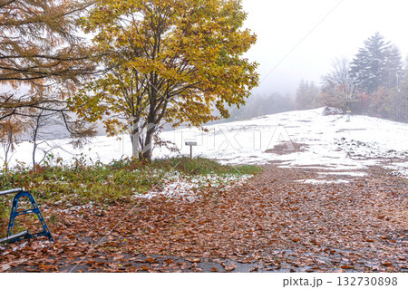 251103乗鞍青年の家z002 132730898