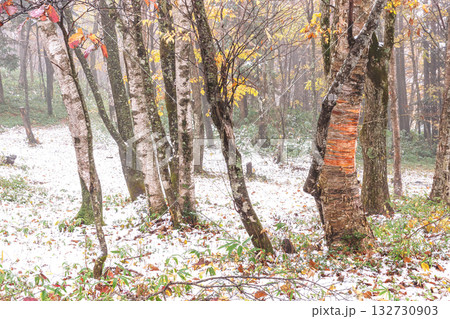 251103乗鞍青年の家z010 251103乗鞍青年の家z010 132730903