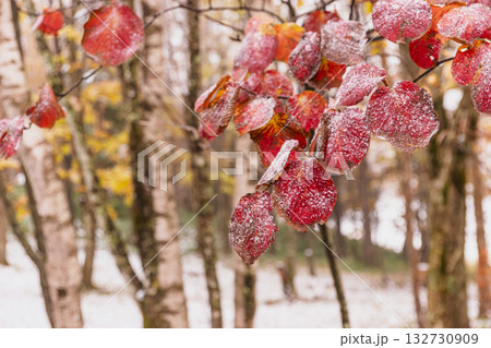 251103乗鞍青年の家z017 132730909