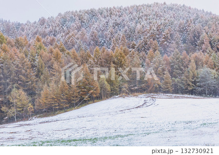 251103乗鞍青年の家z032 132730921