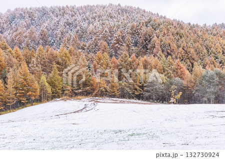 251103乗鞍青年の家z037 251103乗鞍青年の家z037 132730924