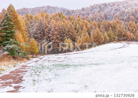 251103乗鞍青年の家z039 251103乗鞍青年の家z039 132730926