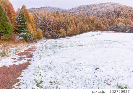 251103乗鞍青年の家z040 251103乗鞍青年の家z040 132730927