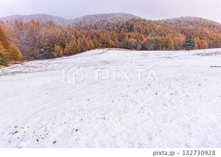 251103乗鞍青年の家z042 132730928