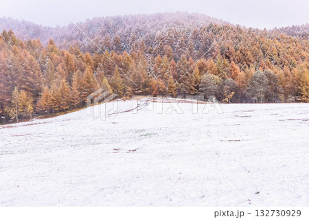 251103乗鞍青年の家z043 251103乗鞍青年の家z043 132730929