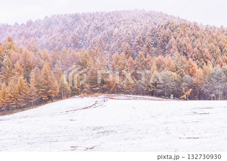 251103乗鞍青年の家z045 251103乗鞍青年の家z045 132730930