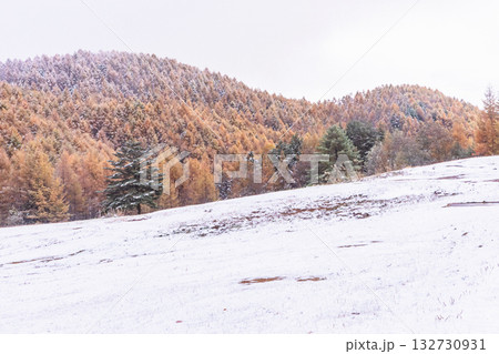 251103乗鞍青年の家z046 132730931