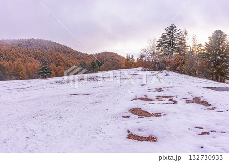 251103乗鞍青年の家z050 132730933