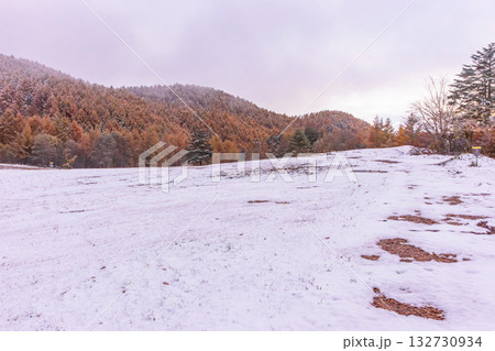 251103乗鞍青年の家z051 251103乗鞍青年の家z051 132730934