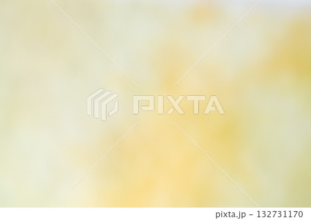 柔らかな黄緑のぼかし背景 柔らかな黄緑のぼかし背景 132731170