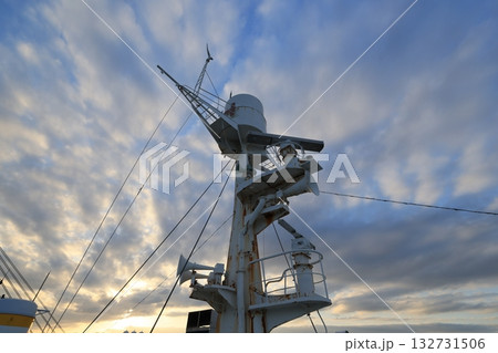 シルエット 132731506