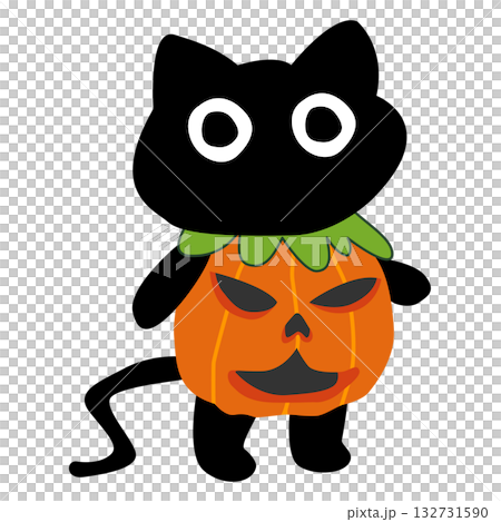 A cartoon black cat wearing a pumpkin costume. 132731590
