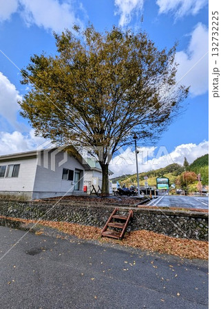 蒜山高原の道の駅にある駐車場にある木 蒜山高原の道の駅にある駐車場にある木 132732225