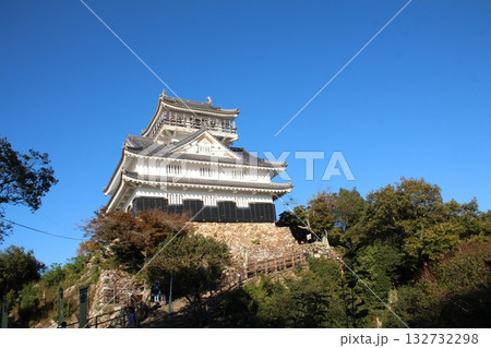 岐阜城 132732298
