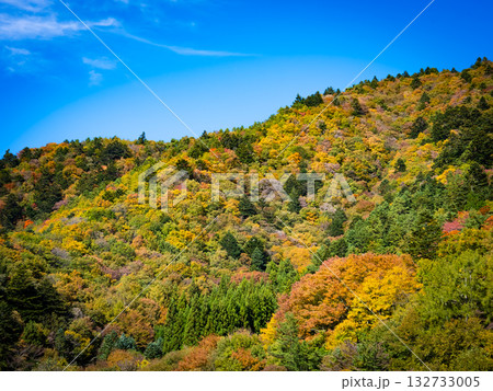 澄み渡る青い空と山々を彩る美しい紅葉　秋晴れに輝く日本の絶景風景 132733005
