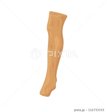 Illustration of stocking  132733555