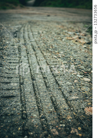 Tire tracks on a muddy rural road after rain 132733656