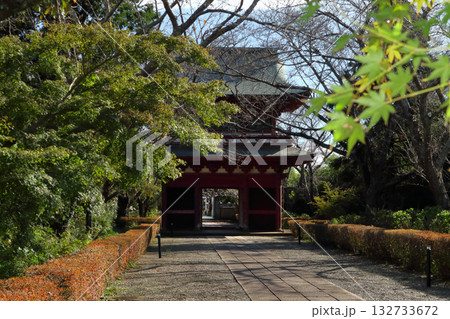 ロマンチック茨城（潮来市の竜王山「普門院」山門より徳川光圀公の命により潮来市長勝寺に移築された門。） 132733672