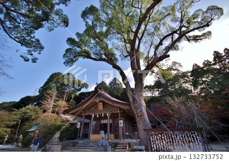 太宰府市　竃門神社本殿 132733752