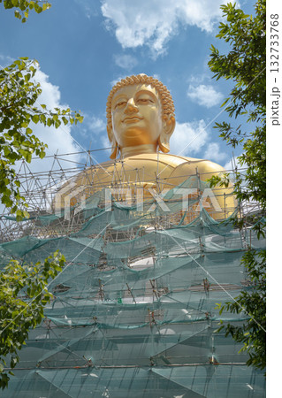 巨大な巨大仏像 132733768