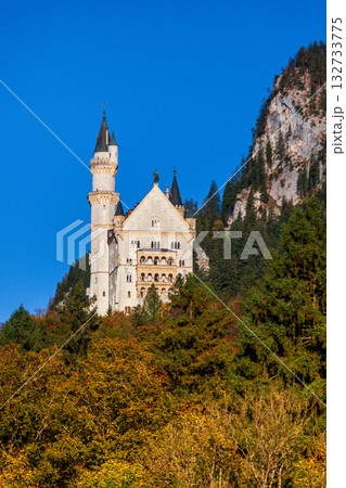 ノイシュバンシュタイン ノイシュヴァンシュタイン ノイシュヴァン 132733775