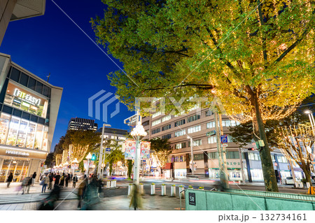 名古屋市・中区　栄　広小路通　広小路伊勢町交差点　イルミネーション　マルエイガレリア 132734161