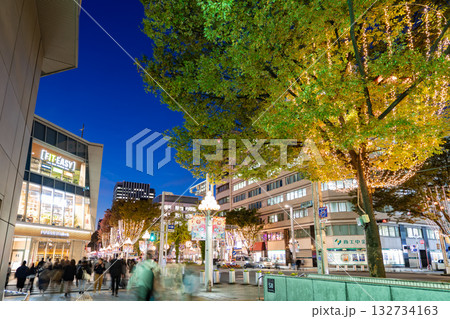 名古屋市・中区 栄 広小路通 広小路伊勢町交差点 イルミネーション マルエイガレリア 名古屋市・中区 栄 広小路通 広小路伊勢町交差点 イルミネーション マルエイガレリア 132734163