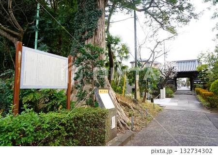舊城寺　榎下城址 132734302