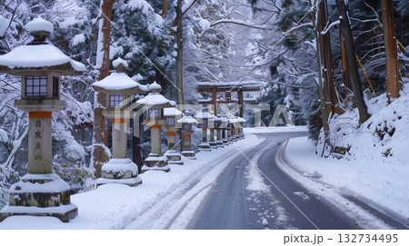 雪に覆われた参道と灯籠が並ぶ静かな神社への道 雪に覆われた参道と灯籠が並ぶ静かな神社への道 132734495
