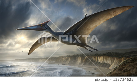 プテラノドン 132734623