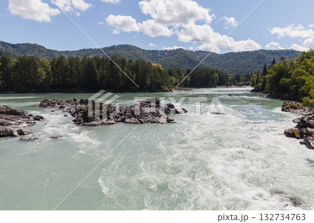 A fast flowing Katun river cuts through rocky outcrops between forested banks A fast flowing Katun river cuts through rocky outcrops between forested banks 132734763