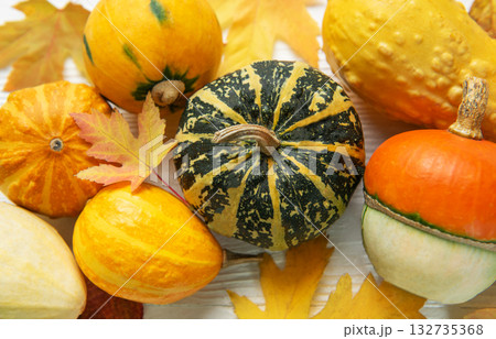 Assorted pumpkins and gourds decorating for fall harvest Assorted pumpkins and gourds decorating for fall harvest 132735368