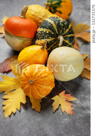 Autumn gourds and squash with colorful fall leaves Autumn gourds and squash with colorful fall leaves 132735370