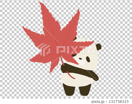 秋葉和熊貓 132736323