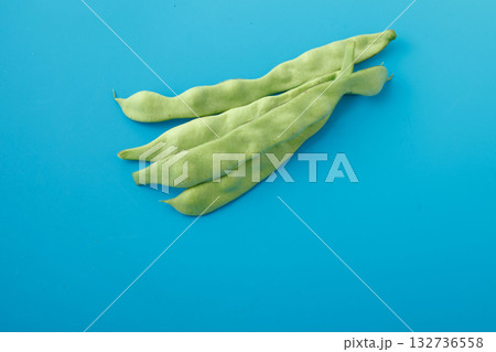 モロッコインゲン　　スタジオ撮影 132736558