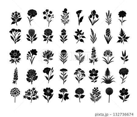 Set of different black monochrome flower silhouettes . Hand drawn. Not AI, vector illustration. 132736674