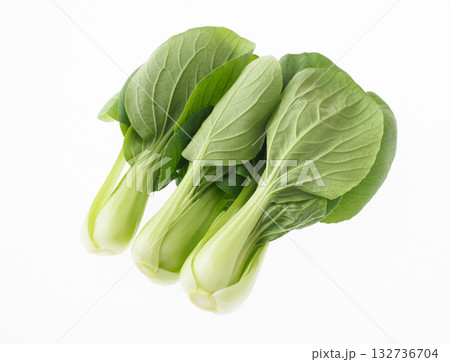 　チンゲンサイ　白バック 132736704