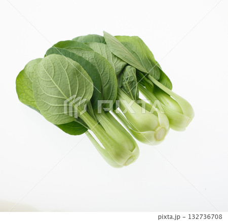 　チンゲンサイ　白バック 132736708