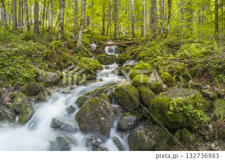 Rothbach Waterfall near Konigssee lake in Berchtesgaden National Park, Germany 132736983