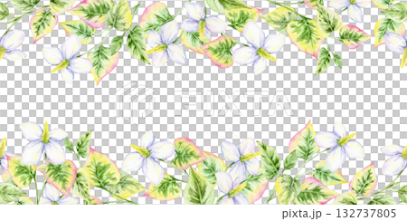 Watercolor clipart seamless horizontal border of botanical leaves and flowers, hand drawn. Useful for decorative stationery, website banners, invitations, cards, and digital layouts 132737805