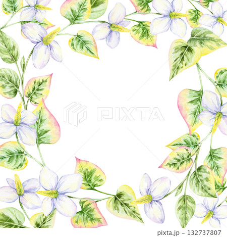 Watercolor clipart wreath of white flowers with variegated pink and green leaves, hand drawn. Excellent for invitations, logos, cards, fabric designs, and personalized decorative artwork Watercolor clipart wreath of white flowers with variegated pink and green leaves, hand drawn. Excellent for invitations, logos, cards, fabric designs, and personalized decorative artwork 132737807