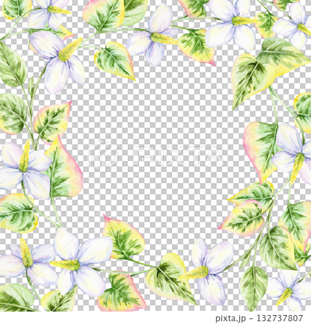 Watercolor clipart wreath of white flowers with variegated pink and green leaves, hand drawn. Excellent for invitations, logos, cards, fabric designs, and personalized decorative artwork Watercolor clipart wreath of white flowers with variegated pink and green leaves, hand drawn. Excellent for invitations, logos, cards, fabric designs, and personalized decorative artwork 132737807