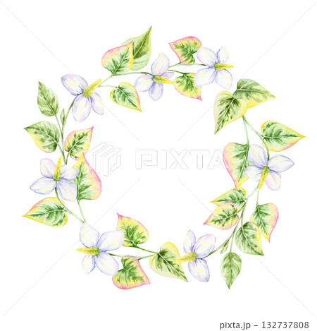 Circular wreath of green and pink heart-shaped leaves with white flowers, watercolor clipart, hand drawn. Designed for logo templates, invitations, wedding cards, or decorative crafts 132737808