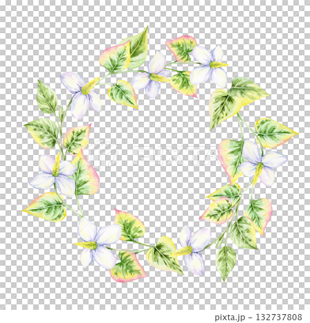 Circular wreath of green and pink heart-shaped leaves with white flowers, watercolor clipart, hand drawn. Designed for logo templates, invitations, wedding cards, or decorative crafts 132737808