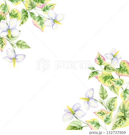 Cluster of watercolor clipart flowers with green and pink heart-shaped leaves forming a floral frame, hand drawn. Ideal for invitations, cards, labels, wall art, and packaging accents Cluster of watercolor clipart flowers with green and pink heart-shaped leaves forming a floral frame, hand drawn. Ideal for invitations, cards, labels, wall art, and packaging accents 132737809