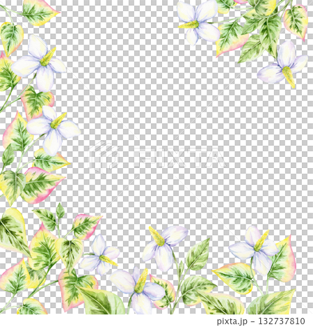 Green and pink heart-shaped leaves with white flowers, watercolor clipart, hand drawn, square floral frame. Perfect for invitations, greeting cards, packaging, and digital scrapbooking 132737810