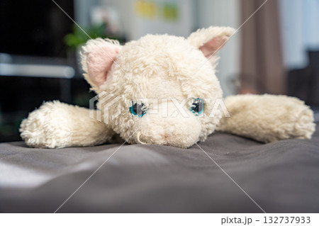 Old worn plush cat toy lying on a couch in a family home. Symbol of sustainable lifestyle choices and emotional value over consumerism in modern parenting. 132737933