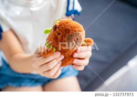 A plush capybara toy held in a child hands. The image reflects Gen Z love for internet-inspired mascots and the aesthetic comfort culture of soft toys. A plush capybara toy held in a child hands. The image reflects Gen Z love for internet-inspired mascots and the aesthetic comfort culture of soft toys. 132737973
