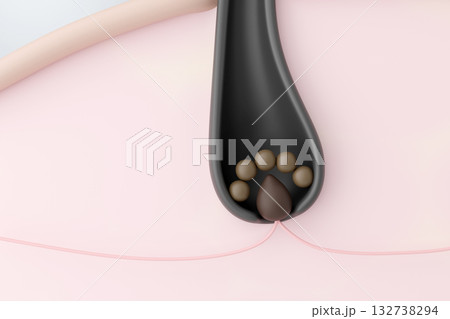 毛乳頭と毛母細胞を示す健康な毛包の断面図CGイラスト 132738294