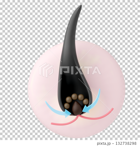 一個簡單的圖標,展示了一種作用於毛乳頭的生髮劑,白色背景。 一個簡單的圖標,展示了一種作用於毛乳頭的生髮劑,白色背景。 132738298